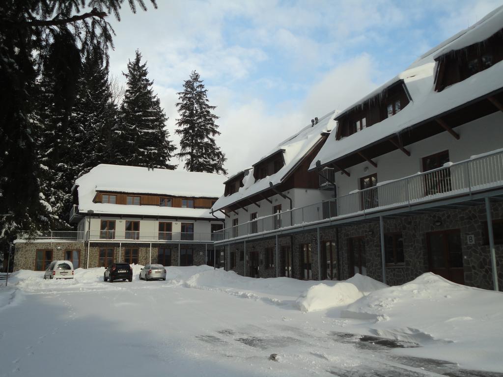 Penzion Dominik Železná Ruda Exterior foto